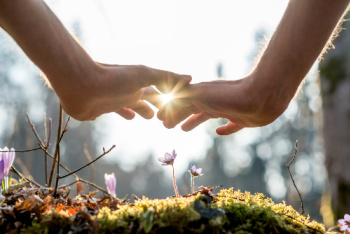 Sekhem Seichem Reiki encourages the person to grow spiritually, mentally, emotionally as symbolized by the hands hovering over the growing flowers and plants.